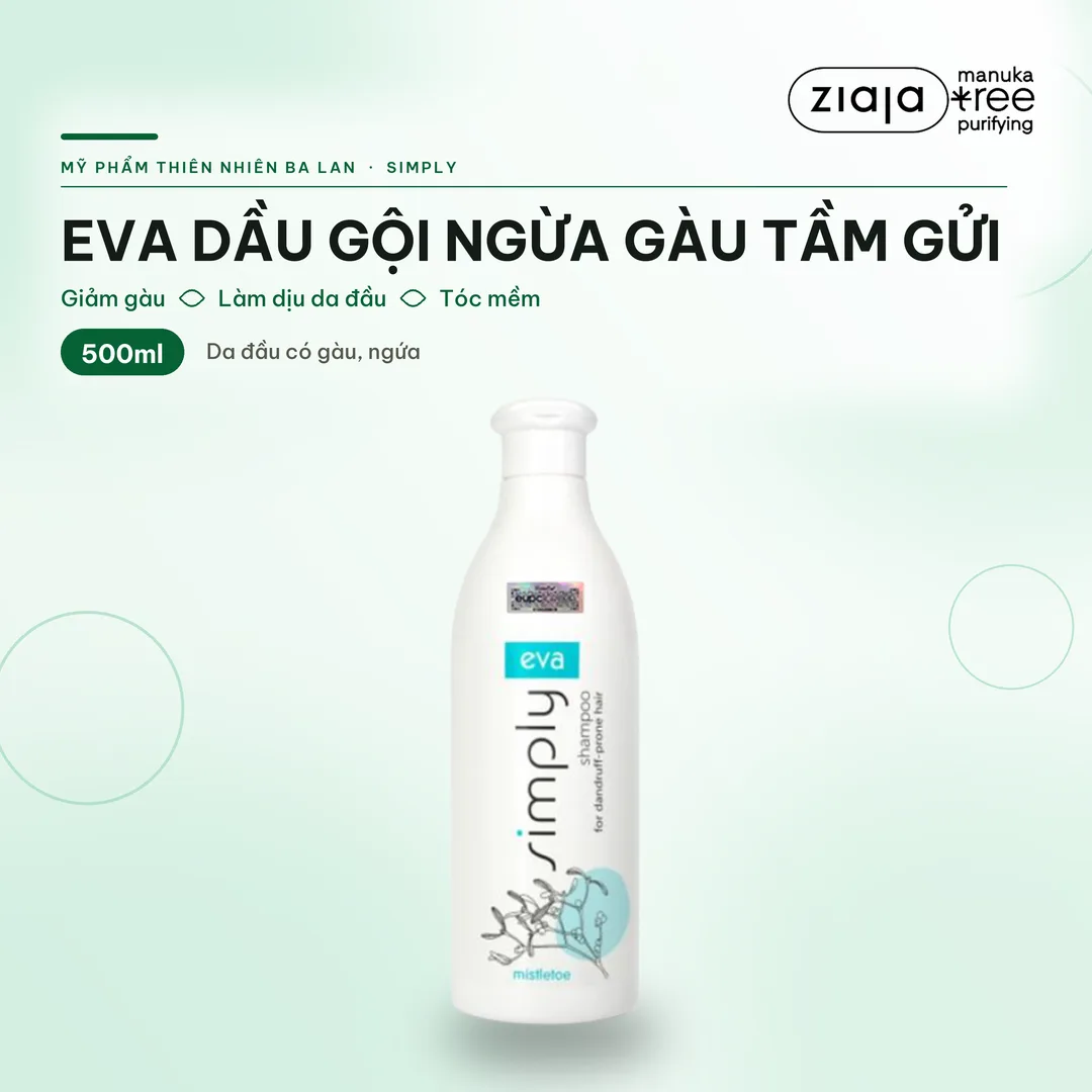 Dầu Gội Ngừa Gàu Eva Simply 500ml – Chiết Xuất Tầm Gửi, Piroctone Olamine, Làm Dịu Da Đầu – ảnh 1