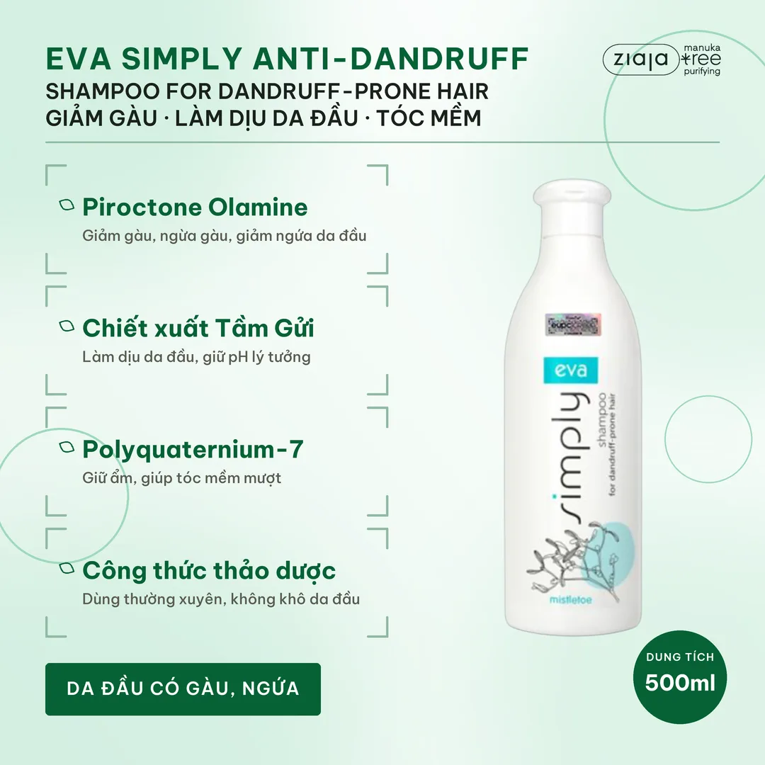 Dầu Gội Ngừa Gàu Eva Simply 500ml – Chiết Xuất Tầm Gửi, Piroctone Olamine, Làm Dịu Da Đầu – ảnh 2
