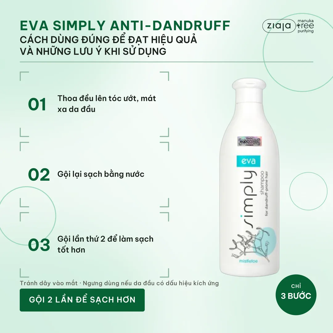 Dầu Gội Ngừa Gàu Eva Simply 500ml – Chiết Xuất Tầm Gửi, Piroctone Olamine, Làm Dịu Da Đầu – ảnh 3